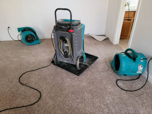 Best Water damage restoration mold remediation  in Colfax, IL
