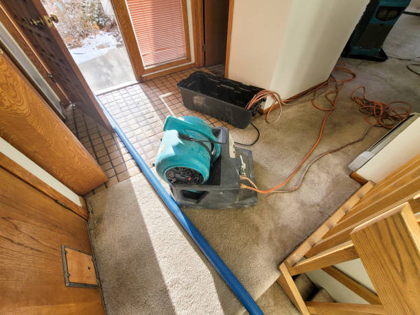 Best 24-hour water damage restoration  in Colfax, IL