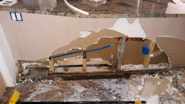 Best Water damage cleanup near me  in Colfax, IL
