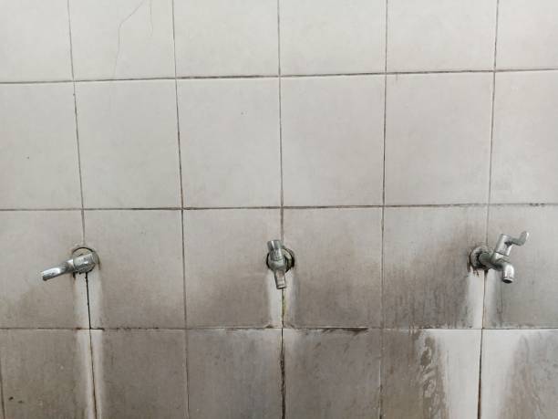 Best Water damage contractors near me  in Colfax, IL